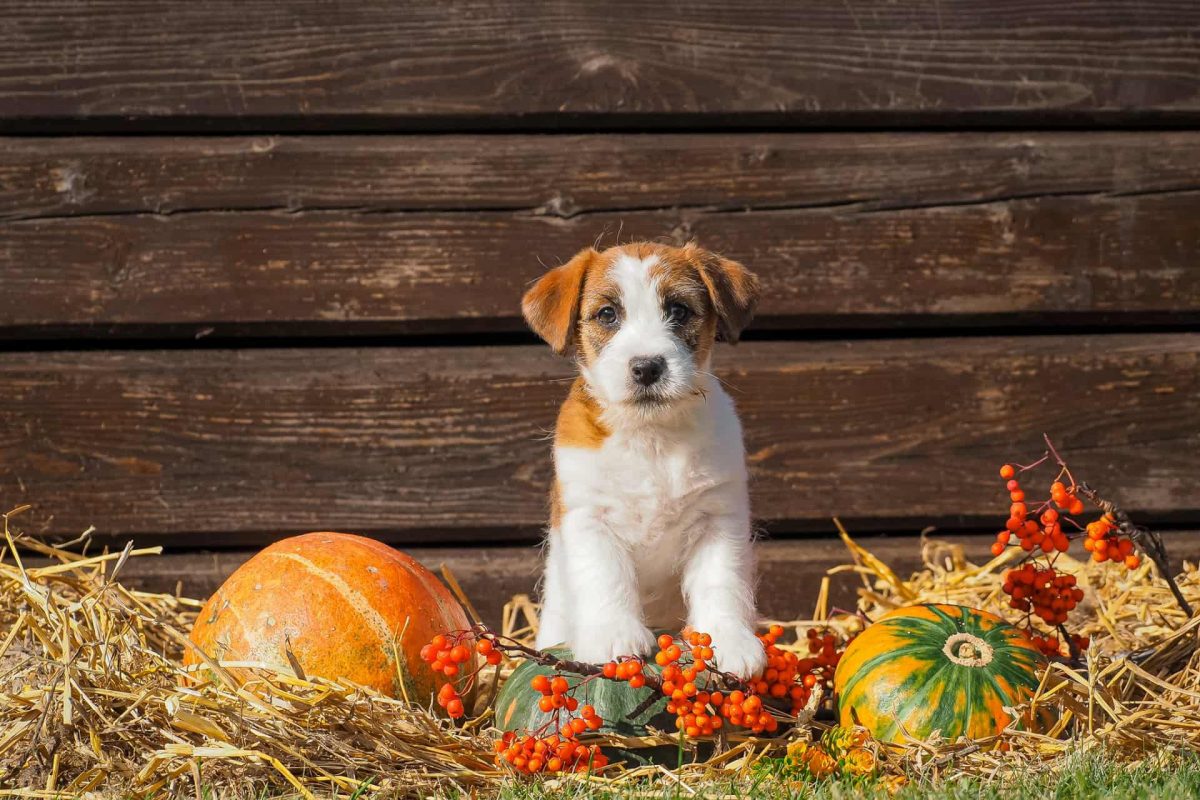 WhatsApp Image 2026-03-25 at 10.22.22